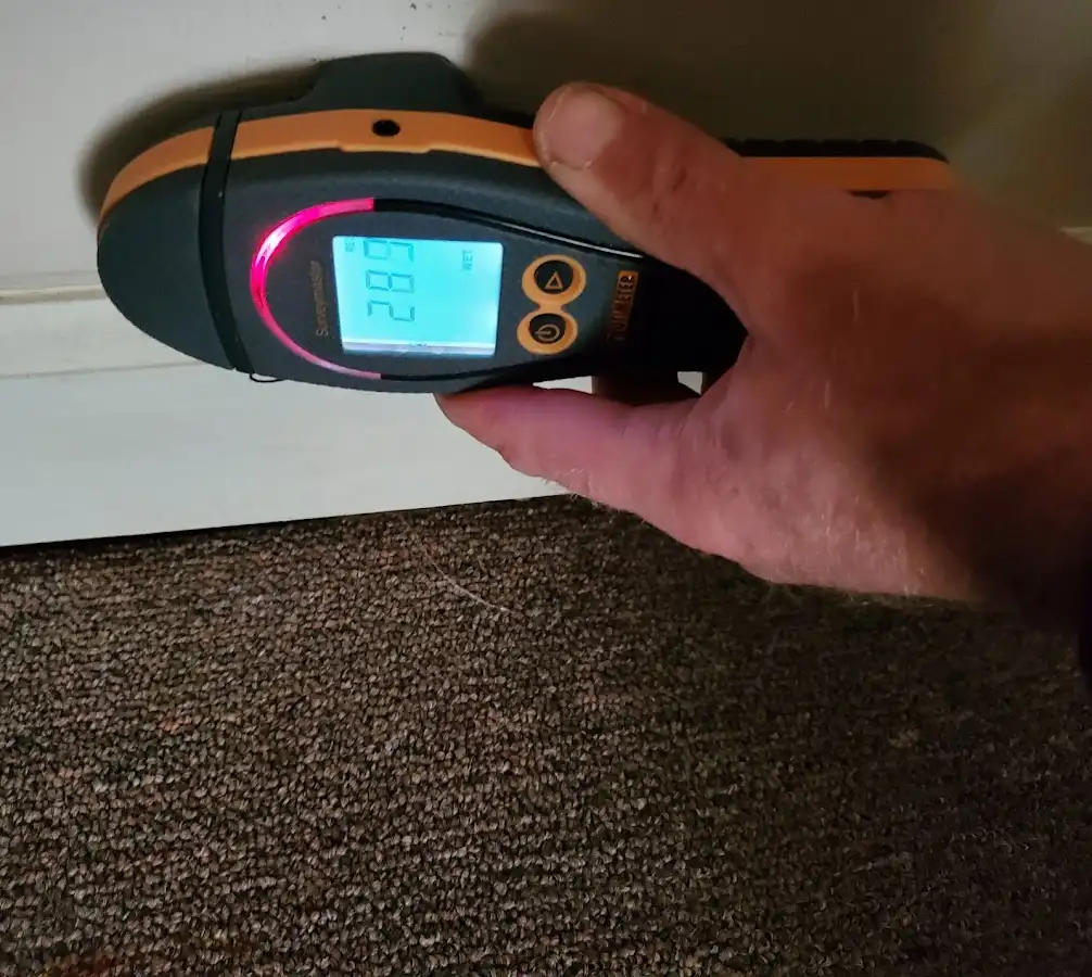 Moisture detection at baseboard during Mold Inspection & Testing in Forest City