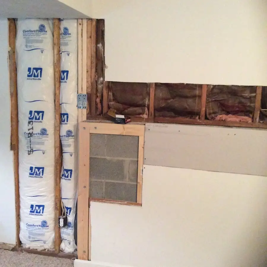 Wall insulation replacement during Odor Removal & Deodorization in Forest City